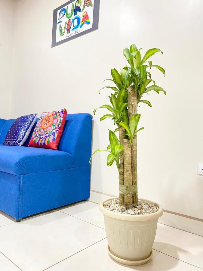 Pura Vida Apartment. 5 Min From Airport Alajuela Eksteriør bilde